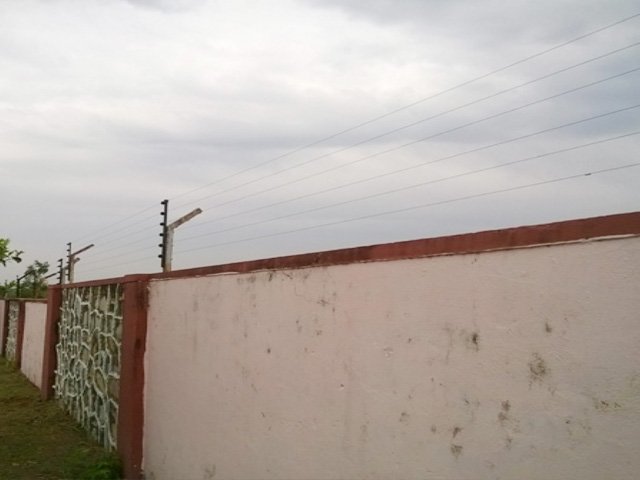 Perimeter Electric Security Fencing System Protection Palisade Solar Electronic Gallagher Power Nemtek Outdoor Residential Wall Boundary Fence Steel Net Gate